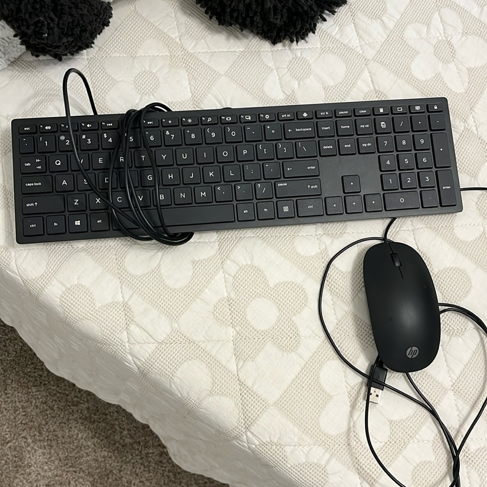 Hp mouse and keyboard